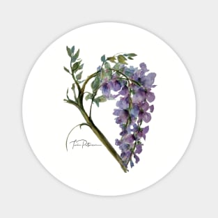 Purple Wisteria Watercolor Magnet